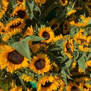 Meet your Posher, Val